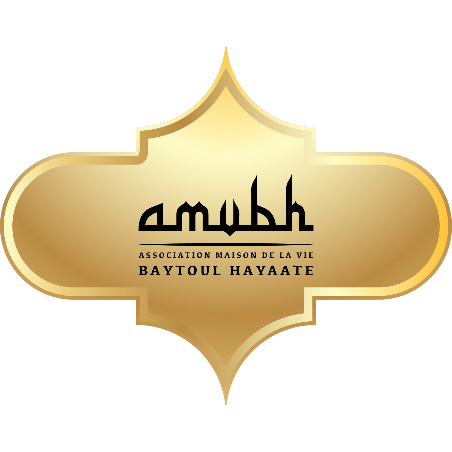 Association Maison de la Vie Baytoul Hayaate